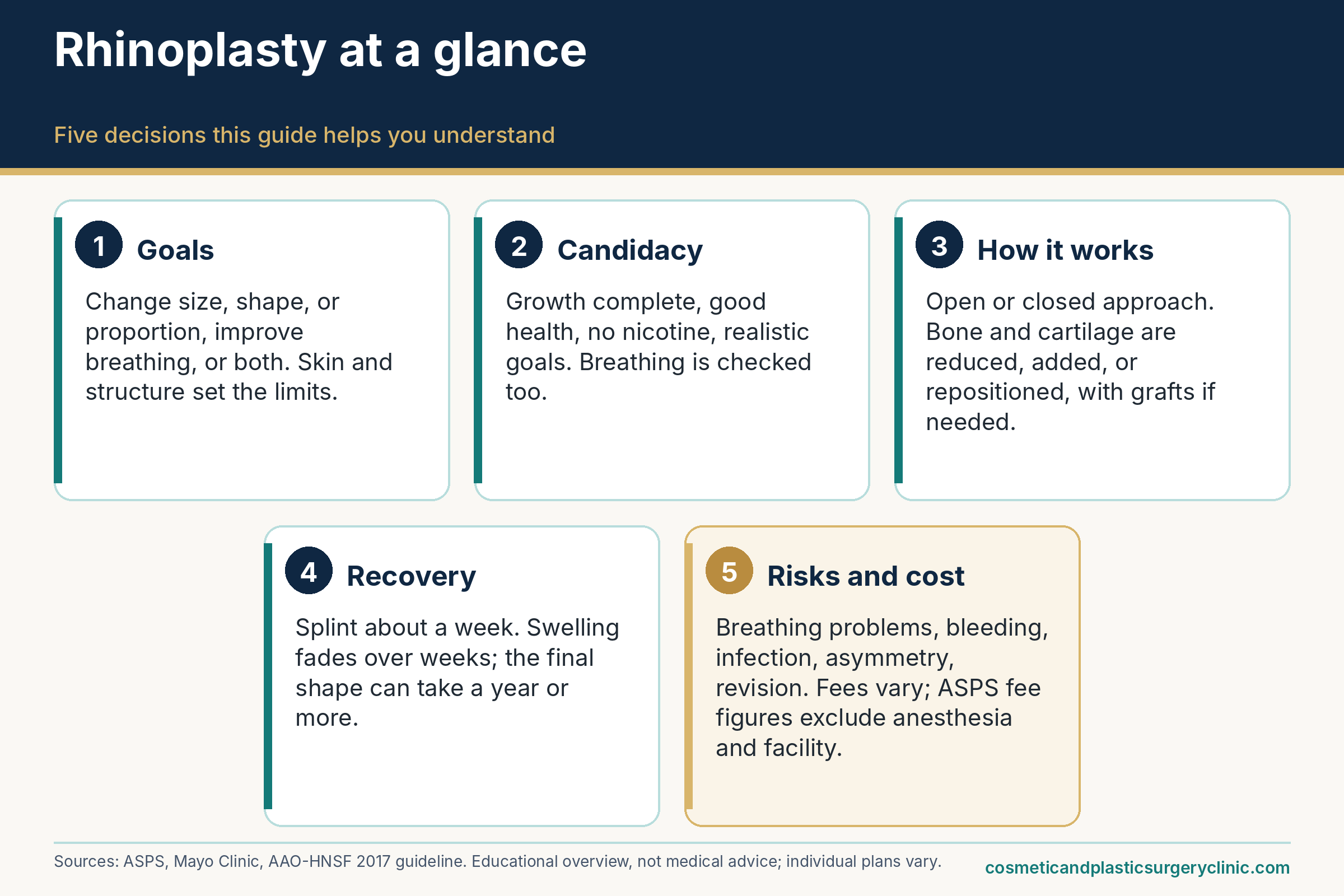 Five-card overview of rhinoplasty covering goals, candidacy, how the operation works, recovery and healing, and risks and cost, each with a one-line summary.