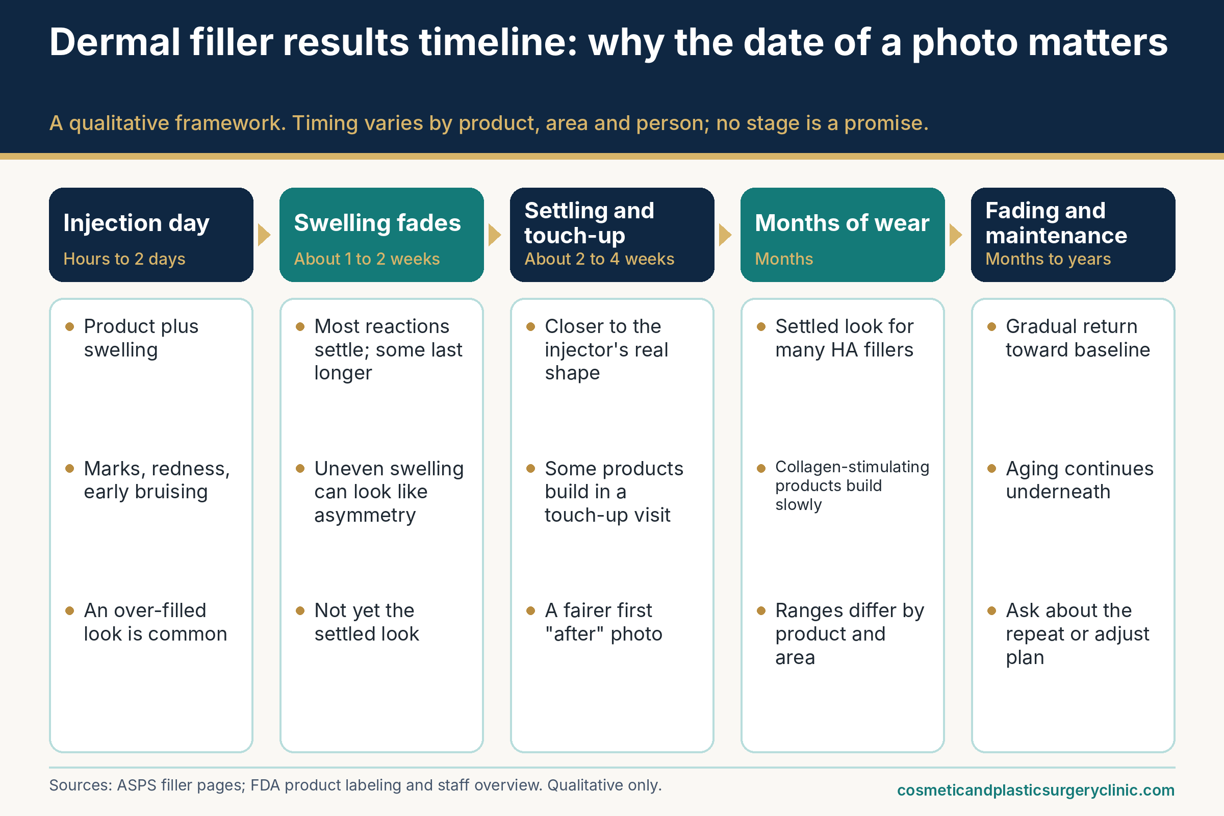 Timeline of how a dermal filler photo can change from the day of injection through swelling, settling and touch-up, months of wear, and gradual fading and maintenance.
